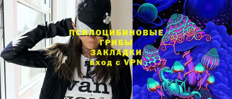 Галлюциногенные грибы Psilocybe  Гагарин 